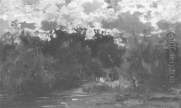 Flusauen - view 1