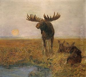 Elch Mit Ruhenden Elchkuhen In Nordischer Landschaft