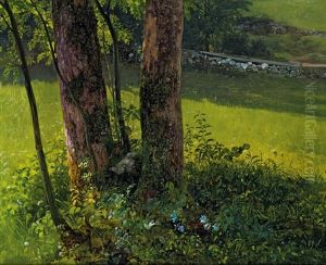 Baum (study)
