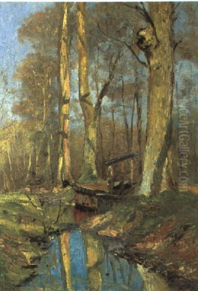Kleines Wehr (grunewald?) - view 1