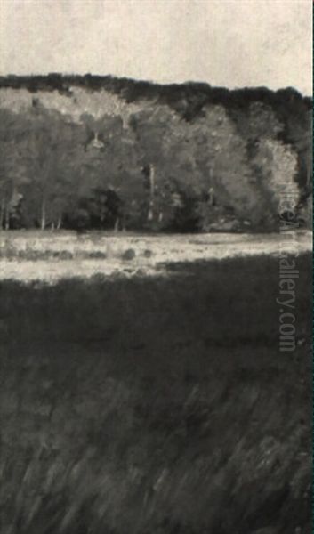 Besonnter Waldrand Mit Erntefeld - view 1