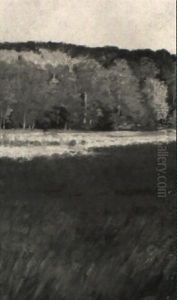 Besonnter Waldrand Mit Erntefeld