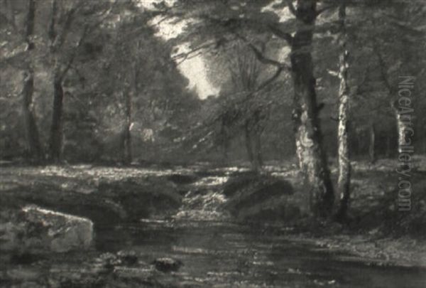 Herbstliche Waldlandschaft Mit Kleinem Katarakt - view 1