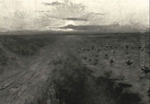Sonnenaufgang Uber Einem Feld Mit Angebautem Kohl