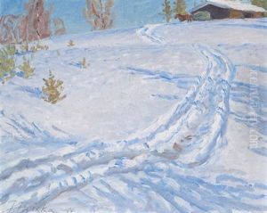 A Sunny Winter Day by Jonas Heiska