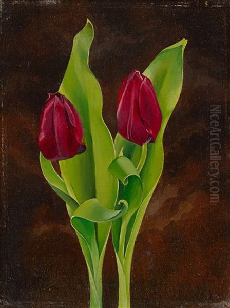 Zwei Tulpen - view 1