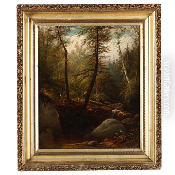 Forest Interior - view 1