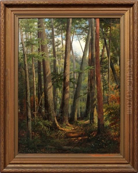 Forest Scene - view 1