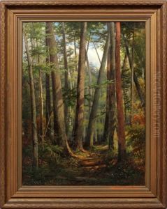 Forest Scene Forest Scene