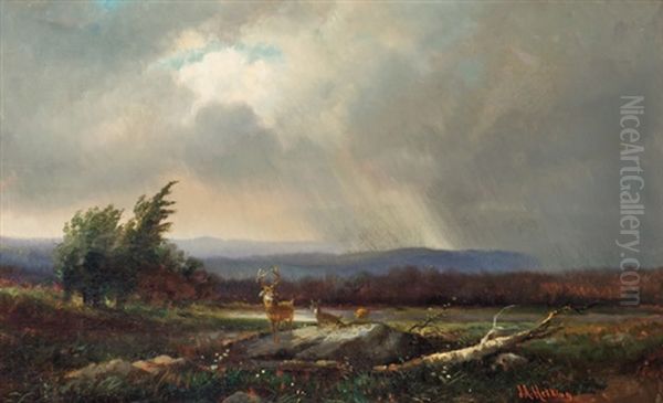 After The Storm - view 1
