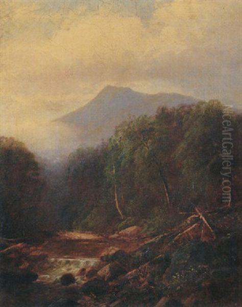 Landscape - view 1