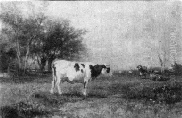 Cows In A Field - view 1
