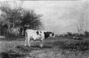Cows In A Field