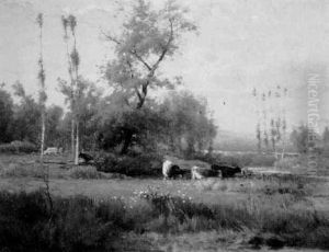 Cows Grazing In The Water Meadow