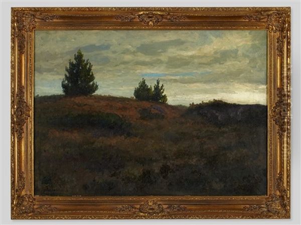 Heathlands - view 1