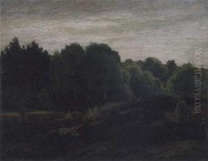 Vardag - Skogslandskap I Finse, Norge