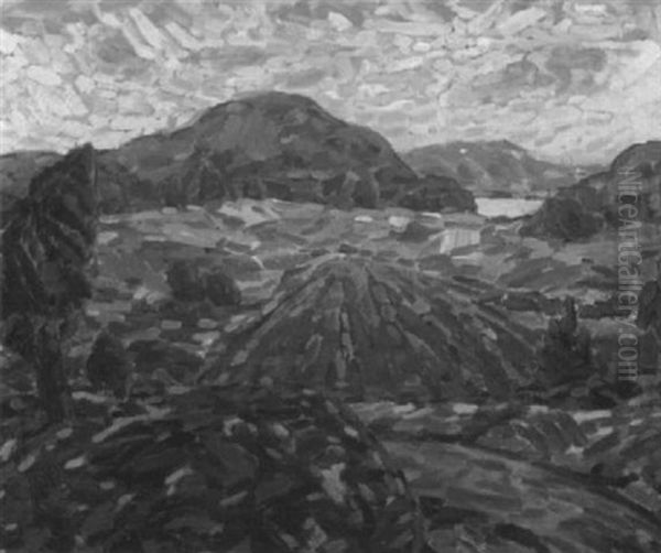 Hugellandschaft - view 1