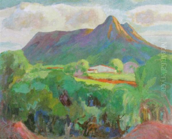 Landscape - view 1