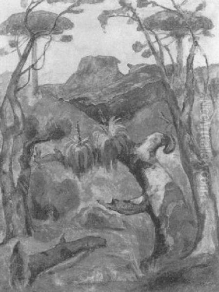 Brasilianische Landschaft - view 1