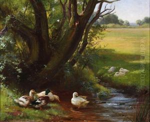 A Warwickshire Stream