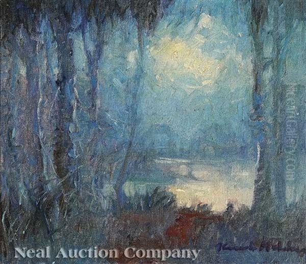 Twilight On The Louisiana Bayou - view 1