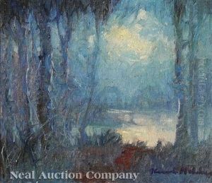 Twilight On The Louisiana Bayou by Knute Heldner