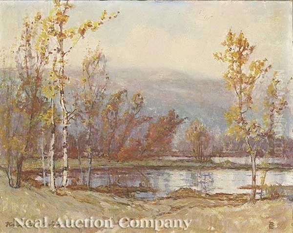 Birch Trees, Minnesota - view 1