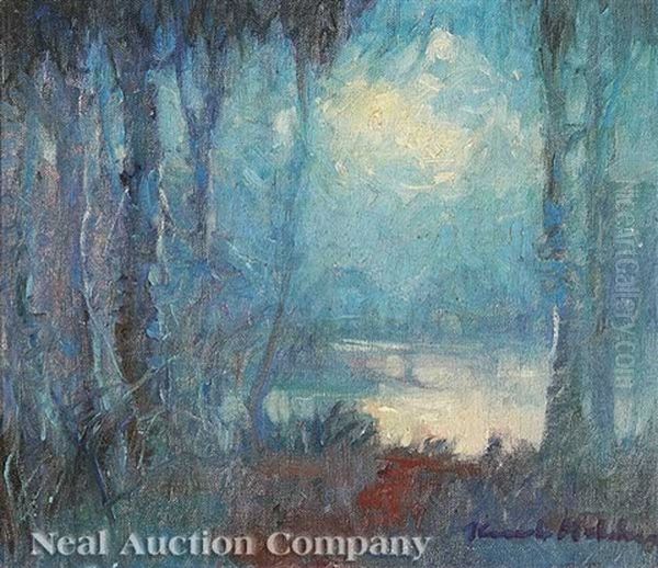 Twilight Swamp Scene - view 1