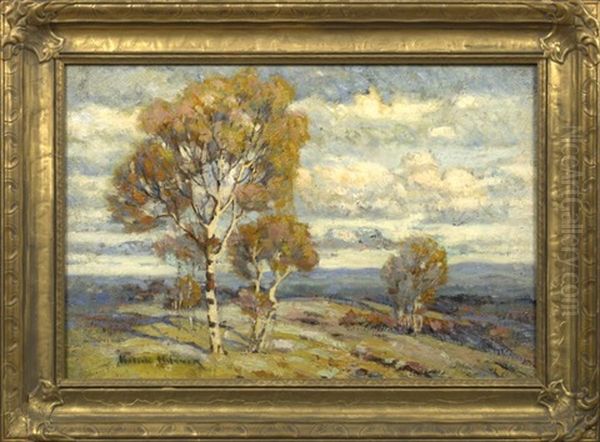 Birch Trees, Minnesota Landscape - view 1