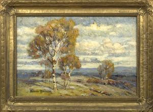 Birch Trees, Minnesota Landscape