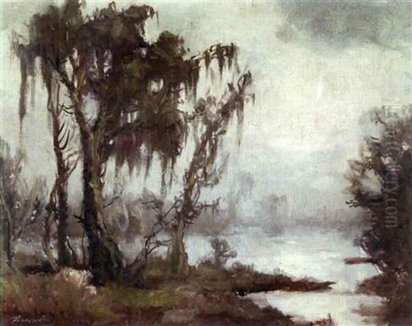 Louisiana Bayou - view 1