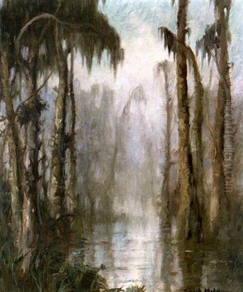 Fog In The Swamp - view 1