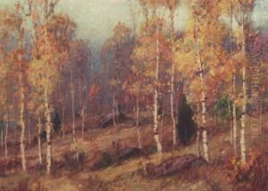 Hillside Birches, Deluth thumbnail