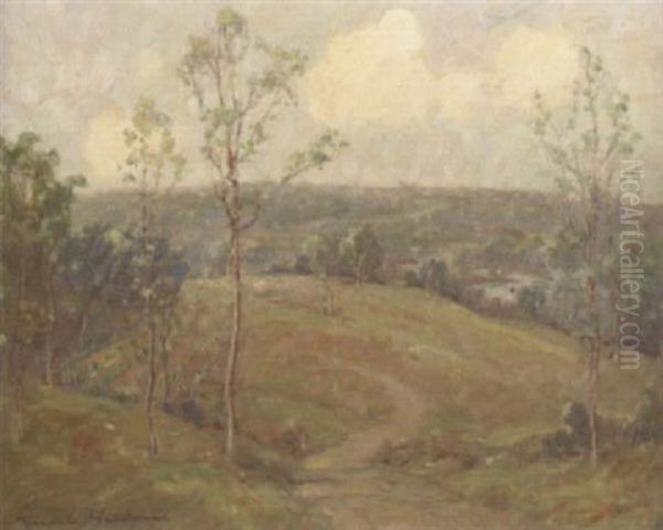 Minnesota Landscape - view 1
