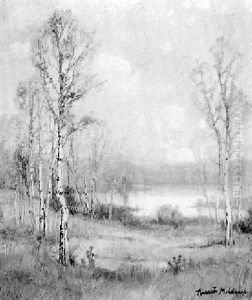 Birch Trees In The Sun by Knute Heldner