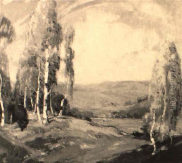 Birch Trees In An Autumn Landscape - view 1