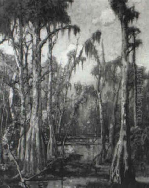 Bayou Landscape - view 1