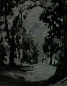 Springtime - Forest Landscape Springtime - Forest Landscape
