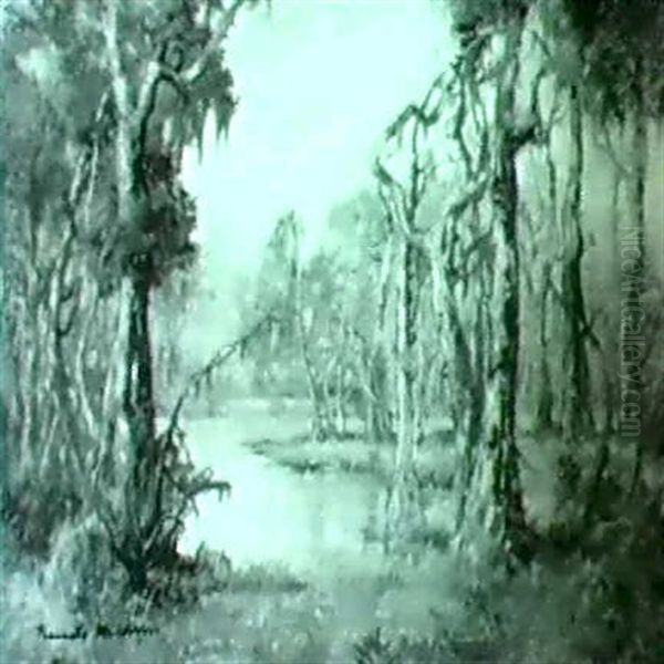 Bayou In A Cyress Swamp - view 1