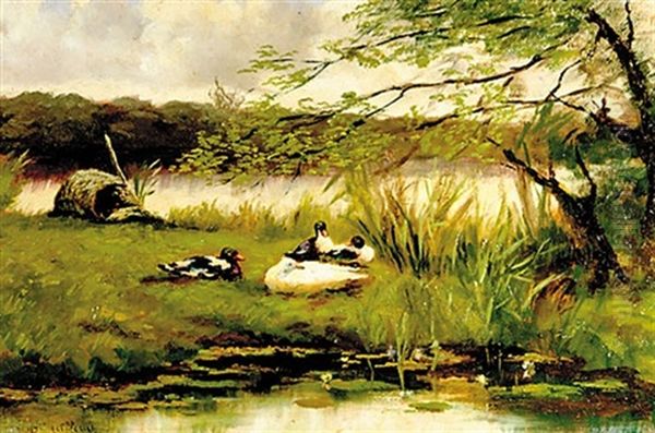 Duck On Shore - view 1