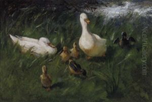 Happy Ducks by Franciscus Willem Helfferich