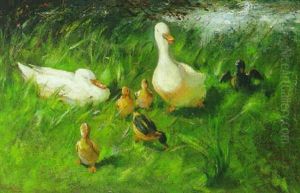 Ducks And Duckling On A Riverbank