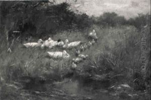 Ducks Along A Ditch