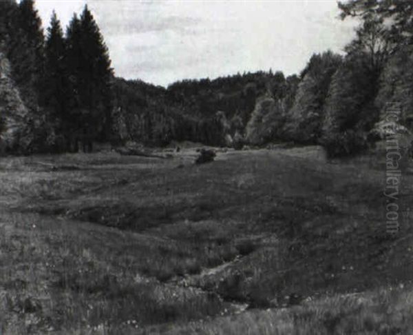 Hugelige Waldlandschaft Mit Groser Wiese Und B,chlein - view 1