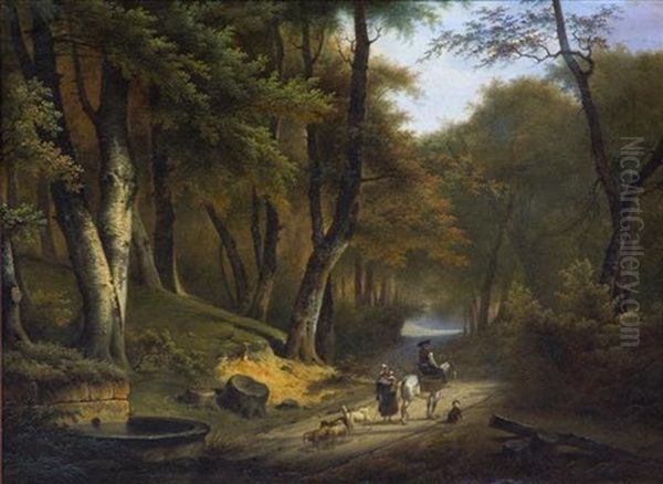 Interior Of A Forest - view 1