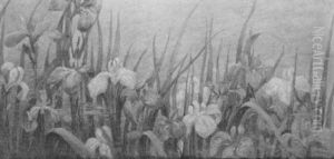 Irises Irises