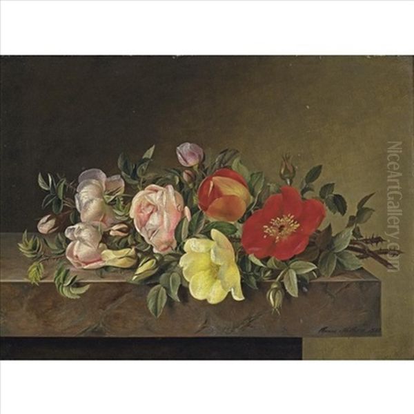 Roses - view 1