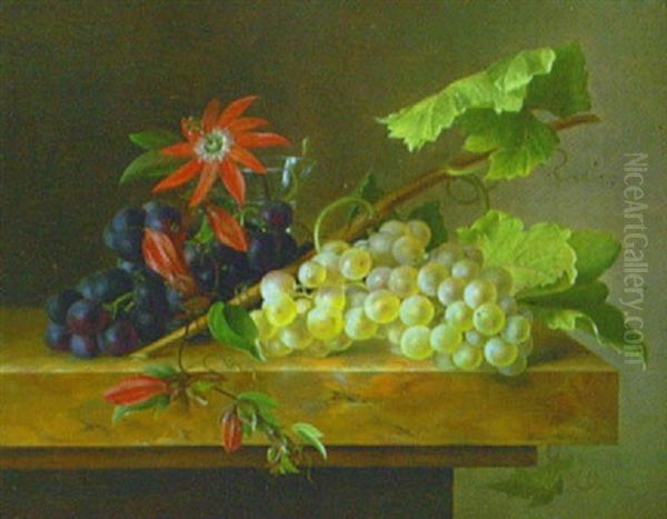 Druvklasar Samt Blomma I Glasvas - view 1