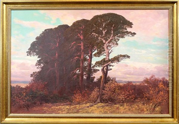 Markische Landschaft Mit Kiefern In Der Abendrote - view 1