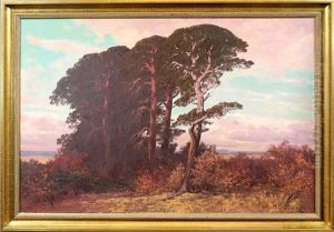 Markische Landschaft Mit Kiefern In Der Abendrote by Rudolf Hellgrewe